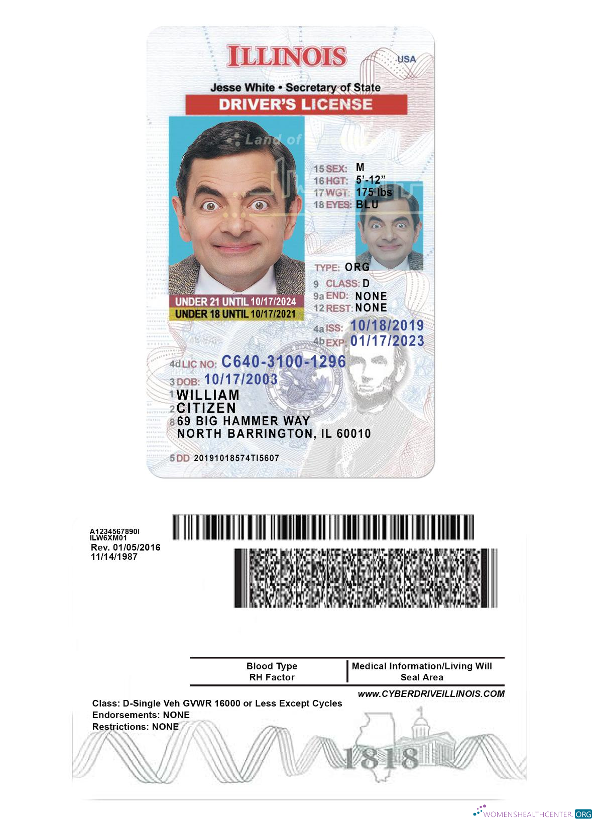 download USA Illinois driving license under 21